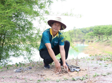 สหกรณ์จังหวัดบึงกาฬ พร้อมด้วยสหกรณ์การเกษตรเมืองบึงกาฬ ... พารามิเตอร์รูปภาพ 26